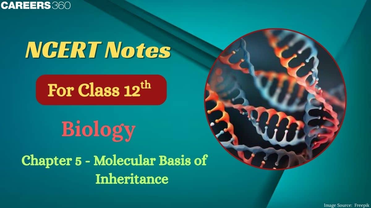 NCERT Class 12 Biology Chapter 6 Notes Molecular Basis of Inheritance